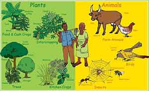 biodiversity